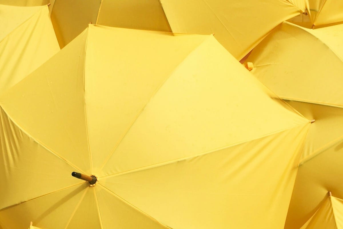 One yellow umbrella standing out in a sea of black umbrellas — the contrarian job search strategy that actually lands offers