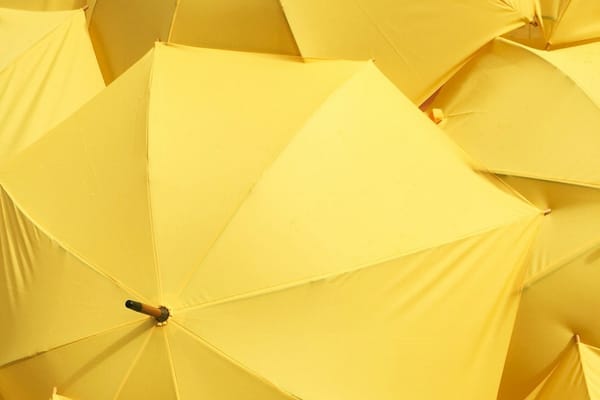 One yellow umbrella standing out in a sea of black umbrellas — the contrarian job search strategy that actually lands offers
